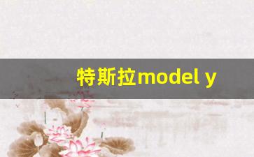 特斯拉model y 19寸轮胎